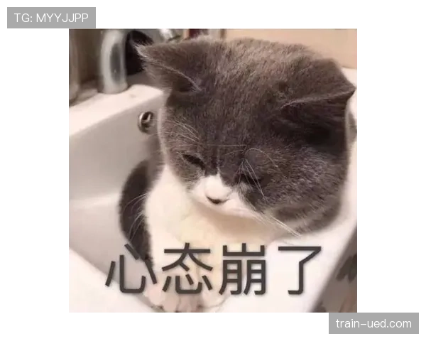 张家齐发图，早晨那桌比我整个月工资还讲究，心态直接崩了
